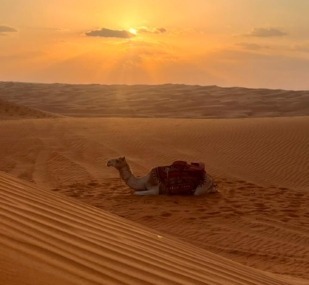 Изображение WhatsApp 2024-01-19 в 17.22.13_04c03050